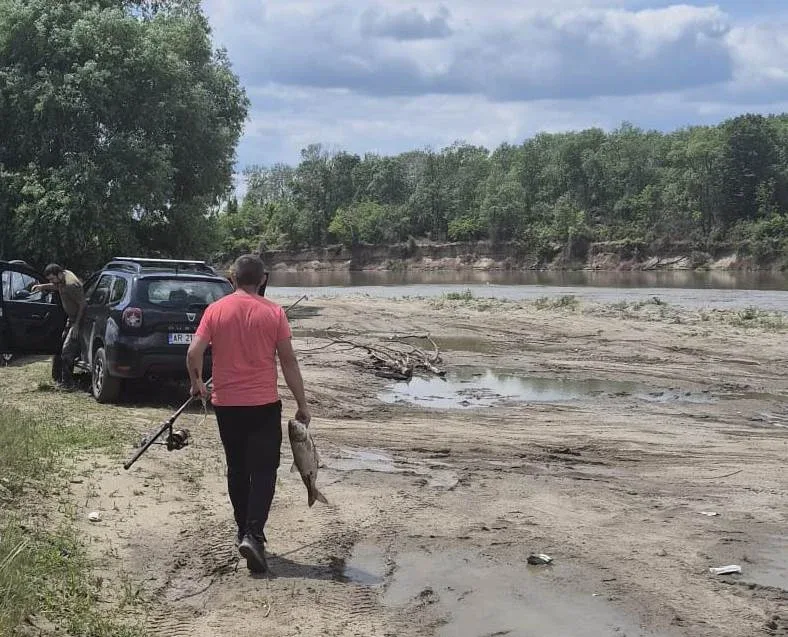 Dosare penale pentru braconaj piscicol în parcul natural lunca mureșului 2 braconaj piscicol