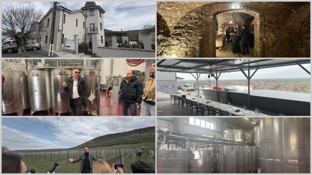 Noile crame din podgoria aradului | o excursie necesară și obligatorie pentru înțelegerea calității vinurilor din zona păuliș-covăsânț-mocrea 2 crame arad