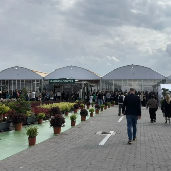 Garden center landisa plant și-a deschis oficial porțile | un paradis pentru pasionații de natură și amenajarea grădinilor 3 landisa plant arad 1 1