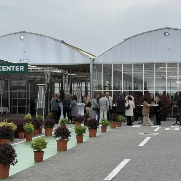Garden center landisa plant și-a deschis oficial porțile | un paradis pentru pasionații de natură și amenajarea grădinilor 10 landisa plant arad 3 1