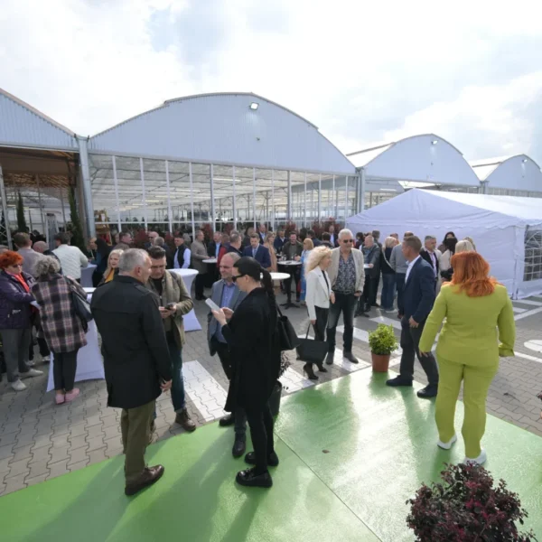 Garden center landisa plant și-a deschis oficial porțile | un paradis pentru pasionații de natură și amenajarea grădinilor 13 landisa plant arad 3
