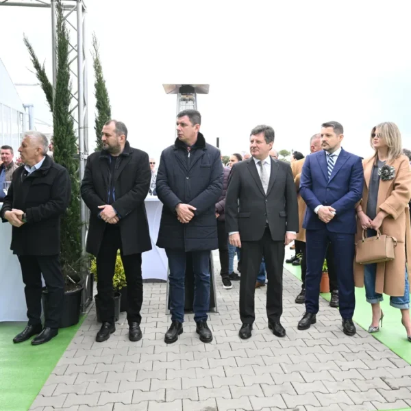 Garden center landisa plant și-a deschis oficial porțile | un paradis pentru pasionații de natură și amenajarea grădinilor 6 landisa plant arad 7