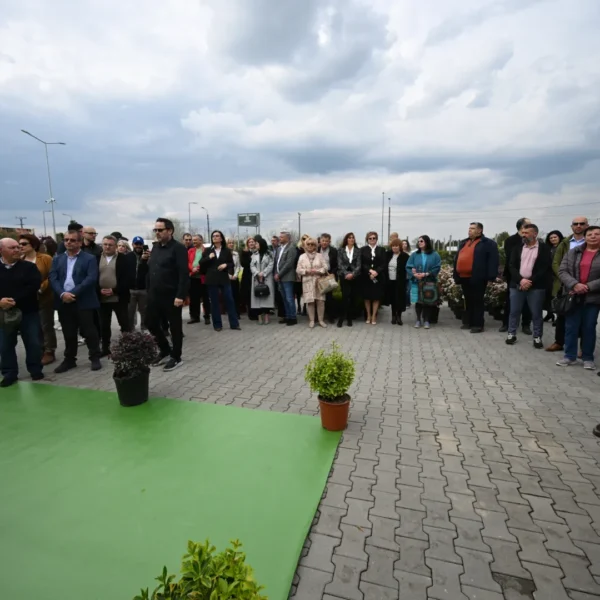 Garden center landisa plant și-a deschis oficial porțile | un paradis pentru pasionații de natură și amenajarea grădinilor 8 landisa plant arad 8
