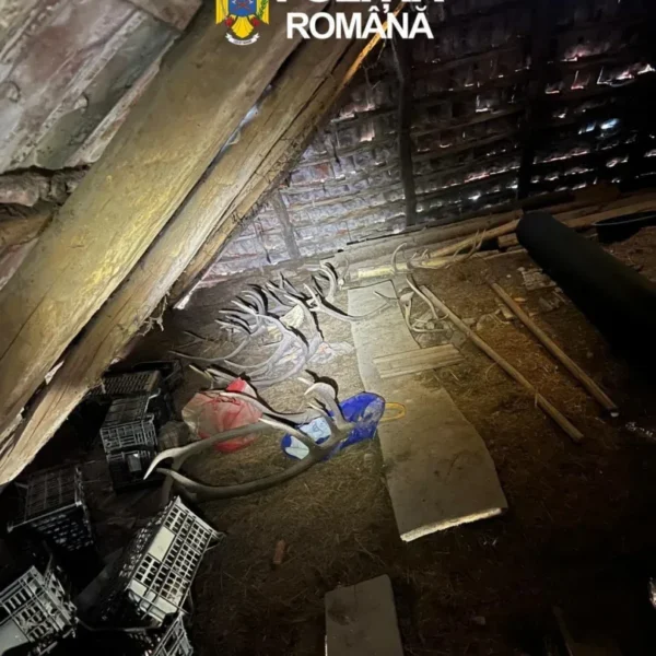Percheziții în 29 de locații din județul arad la persoane bănuite de săvârșirea mai multor infracțiuni la regimul armelor | patru bărbați au fost reținuți 9 perchezitii arad 8