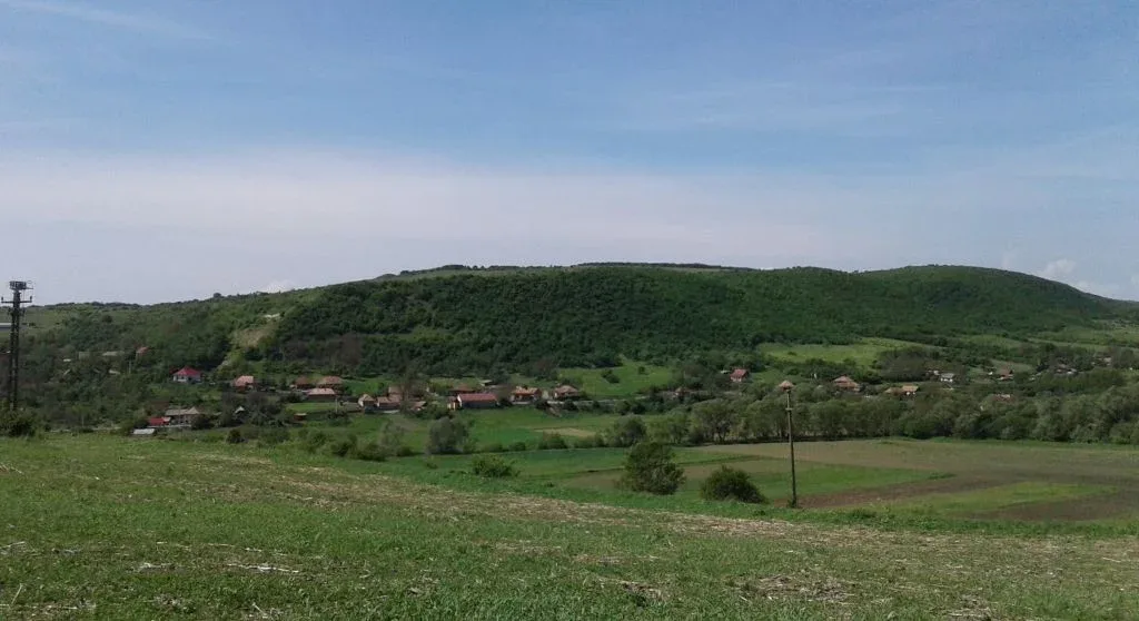 Din lumea borșei de altădată 1 borsa cluj