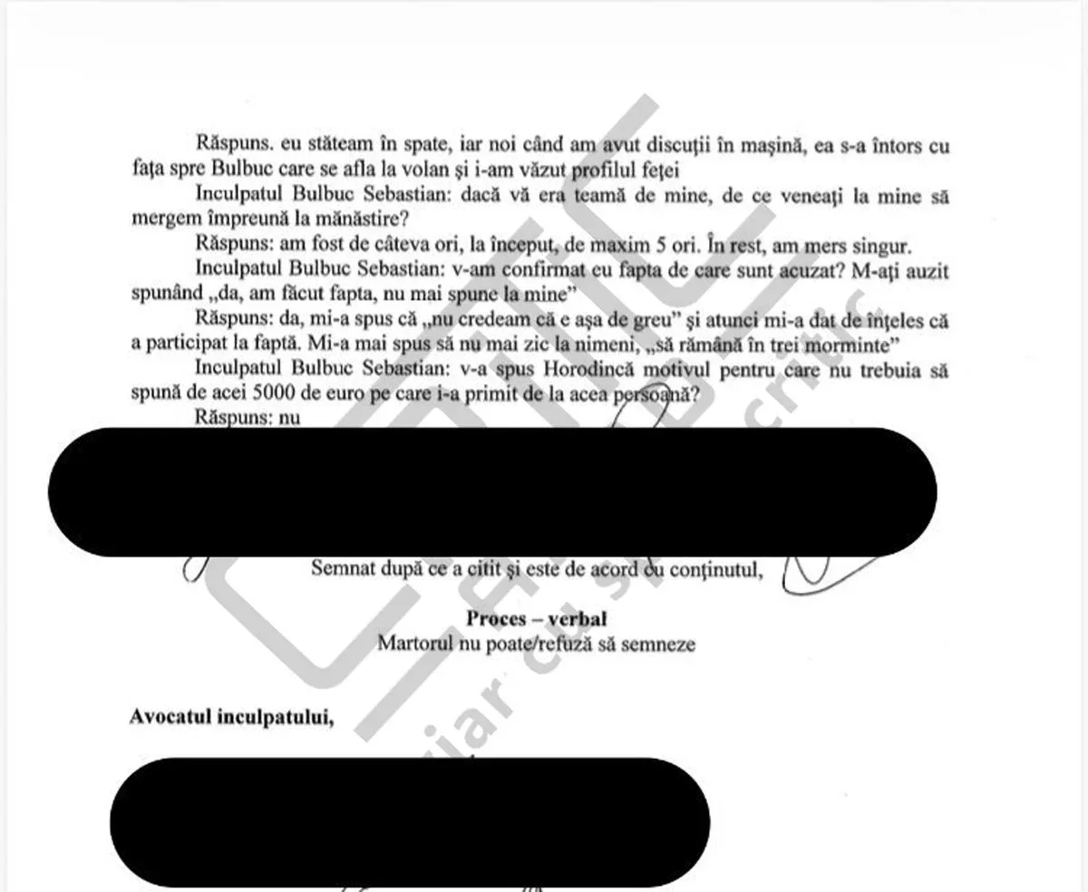 declaratie13
