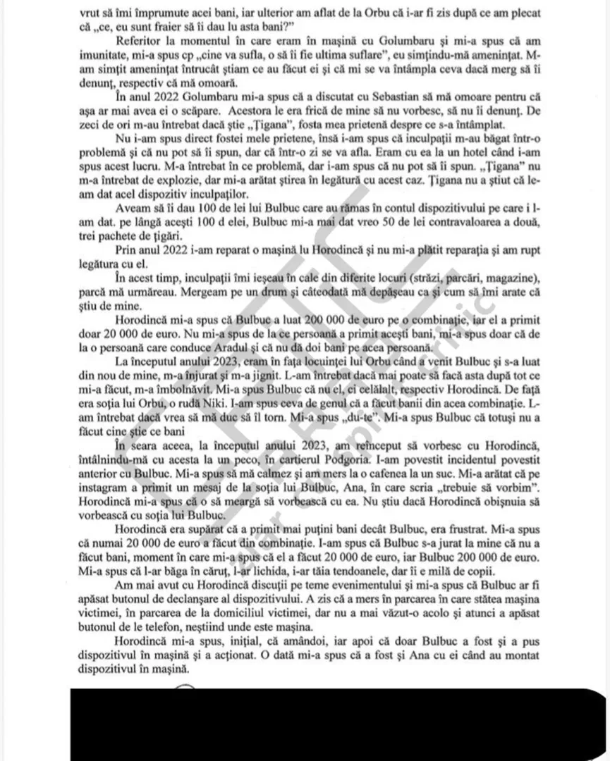 declaratie7