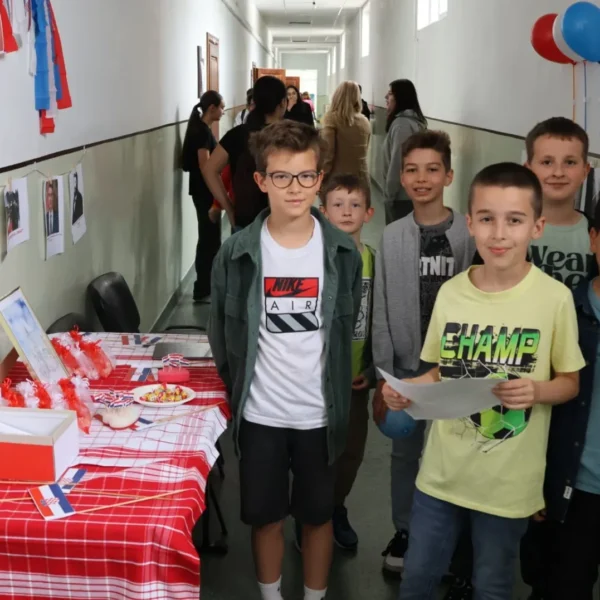 liceul national de informatica 10