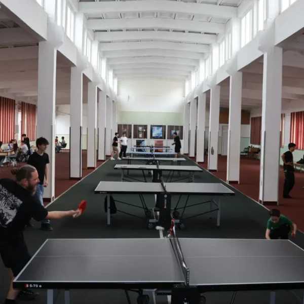 liceul national de informatica 12