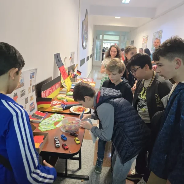 liceul national de informatica 17