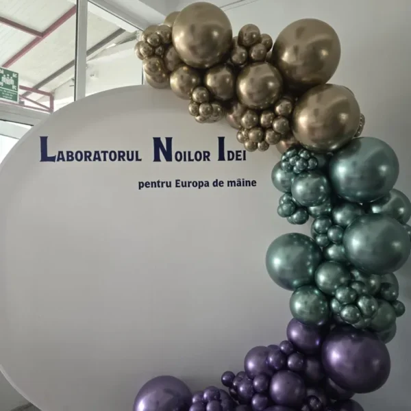 liceul national de informatica 3