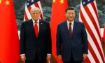 trump xi jinping