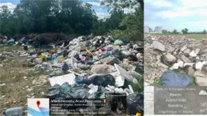 în județul arad
