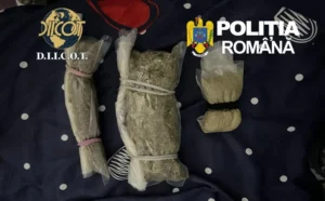 arădean plasat în arest