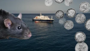 hantavirus andes