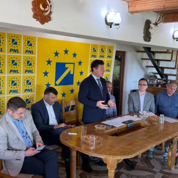 pnl arad 3