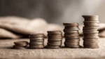 programele economice ale partidelor din românia