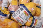 salmonella