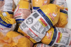 salmonella
