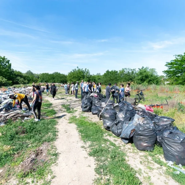 72 de voluntari arădeni au colectat peste o tonă de deșeuri din natură în doar câteva ore 3 deșeuri