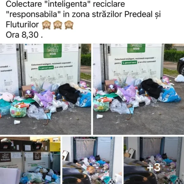 gunoaie arad1