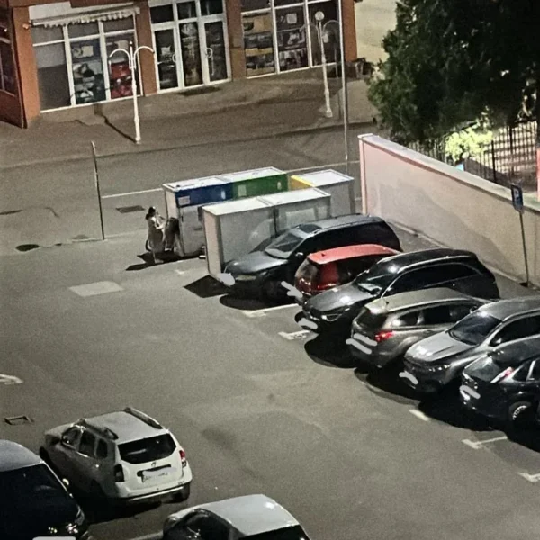 gunoaie arad5