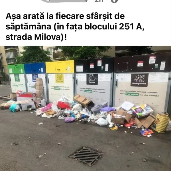 gunoaie arad8