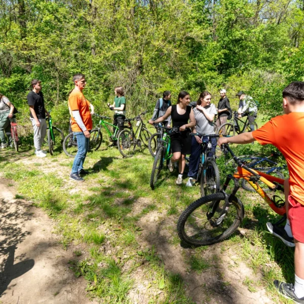 insula bicicletelor1