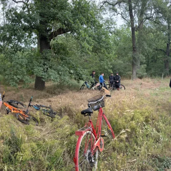 insula bicicletelor8