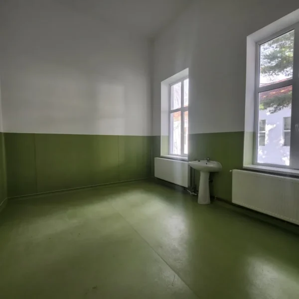 Despre spitalul județean arad, la finalul mandatului de manager al florinei ionescu | interviu 39 foto: paliative