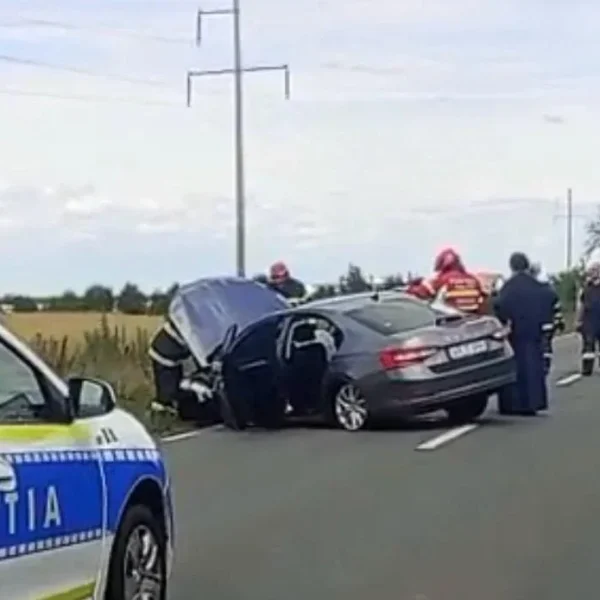 accident timotei1
