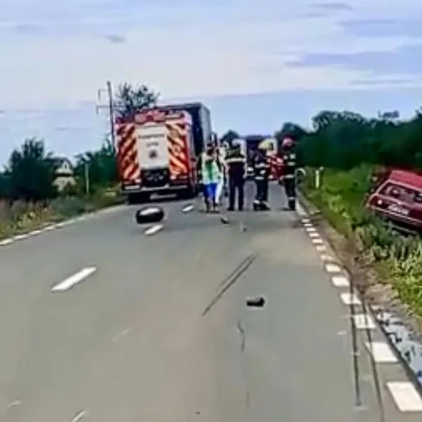 accident timotei2
