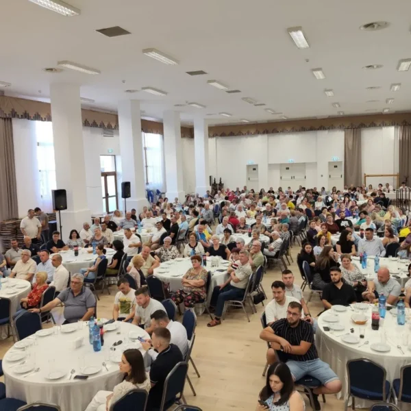 alegeri pnl arad 2026 1