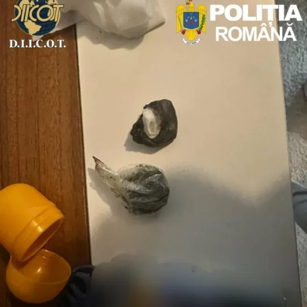 Actualizare | în urma perchezițiilor în cele 16 locații din județul arad, 6 persoane au fost arestate preventiv și 3 au fost plasate în arest la domiciliu pentru trafic de droguri și alte infracțiuni 3 droguri arad2
