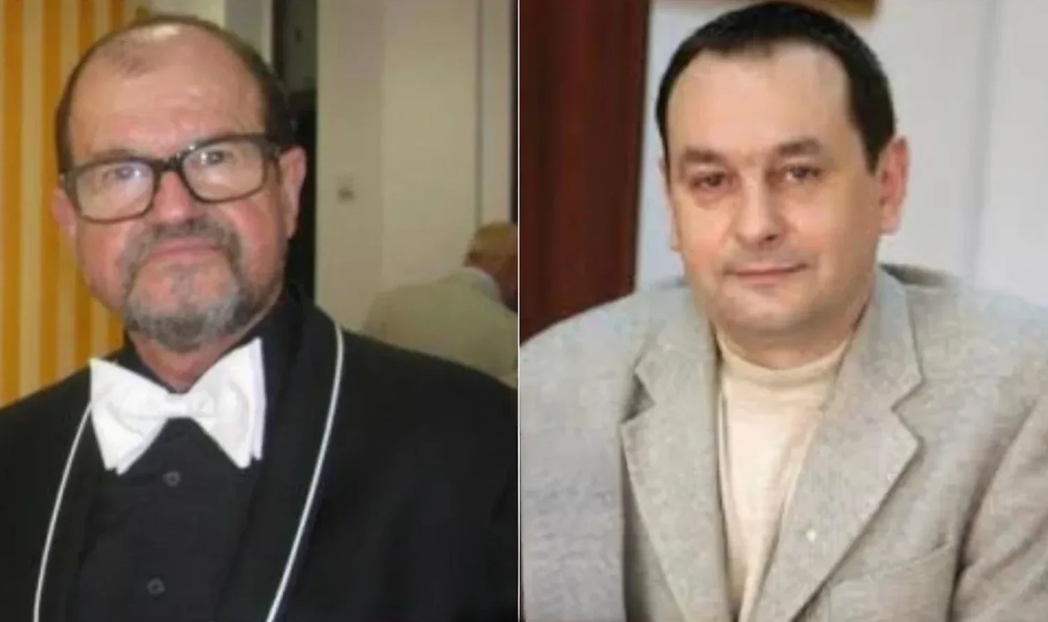 eugen ovidiu chirovici și ștefan mâșu