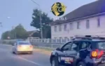 perchezitii arad