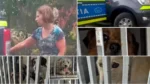 Nimic nu o poate opri pe gabriela decuseară! Peste 30 de câini au fost descoperiți într-o locație din gurba și ridicați, cu scandal, de poliția animalelor 25 decuseara