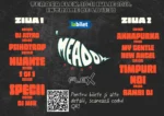 Meadow festival arad: primul festival caritabil din arad 12 meadow