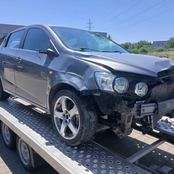 Disperarea unui tată | moartea lui lucian mariș din șiria - un „banal accident” sau o crimă interlopă acoperită de autorități? (1) 15 caz maris siria 5