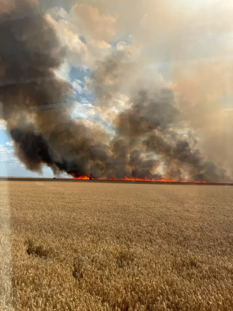 Incendiu Curtici