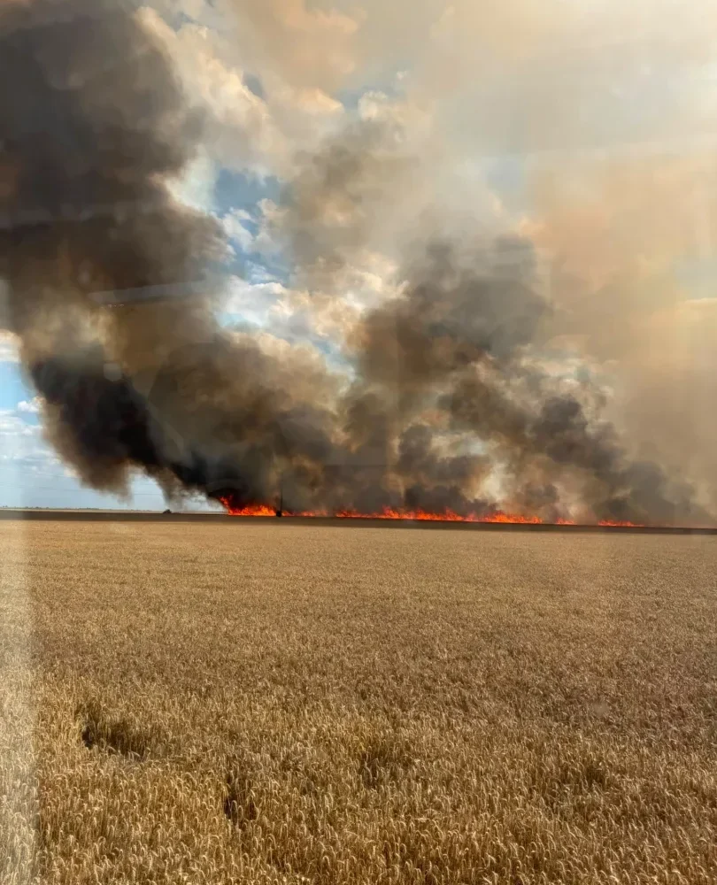 Incendiu Curtici