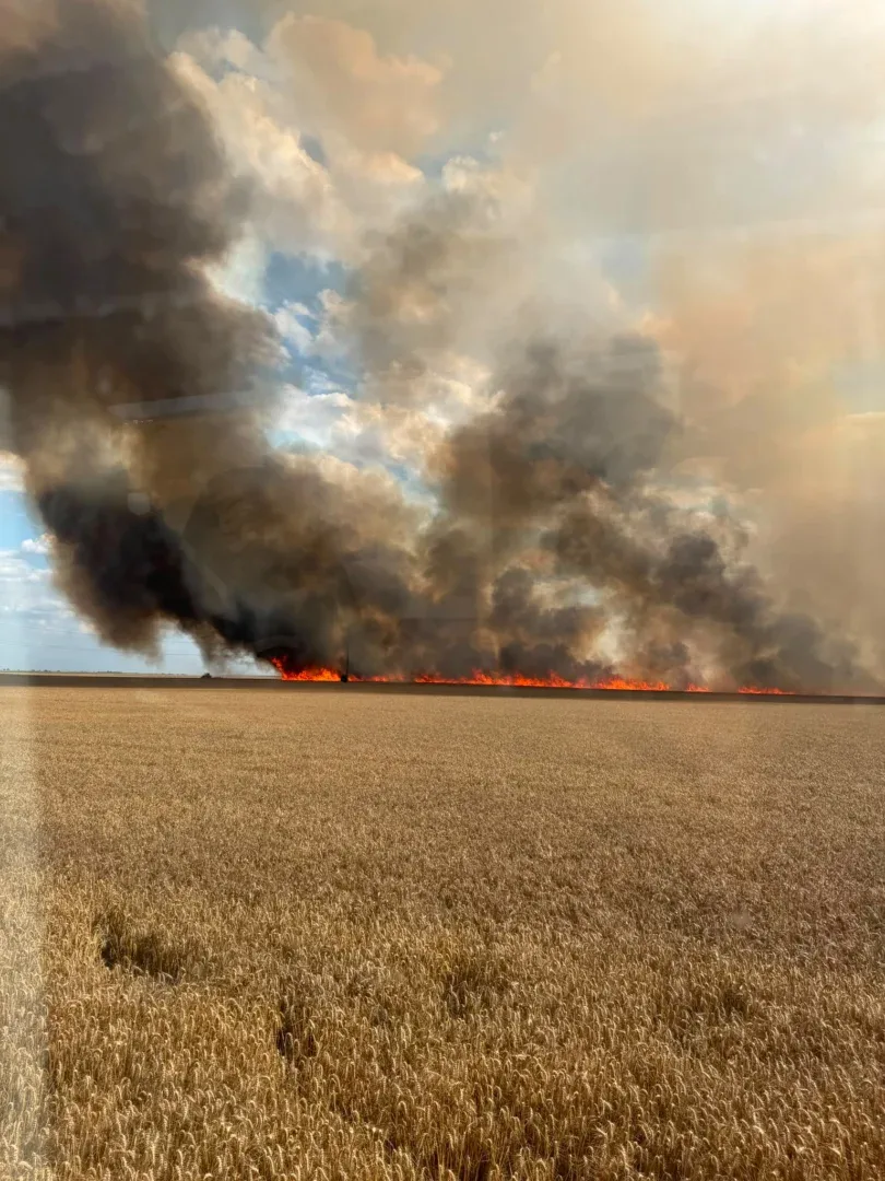 Curtici | un incendiu izbucnit de la scânteile mecanice produse de o combină a distrus 45 de hectare de grâu 1 incendiu curtici
