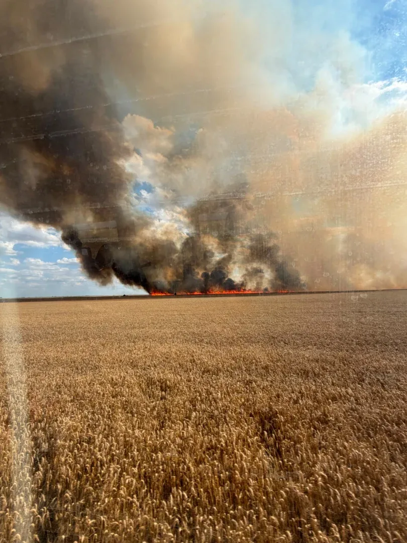 Curtici | un incendiu izbucnit de la scânteile mecanice produse de o combină a distrus 45 de hectare de grâu 2 incendiu1