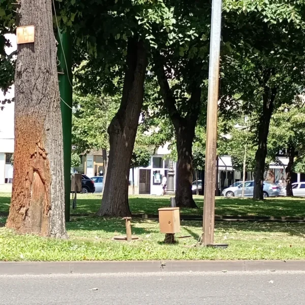 Stația fantomă i. C. Brătianu | cum ignoră primăria și ctp arad mii de arădeni 3 statia bratianu1