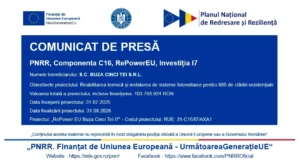 SC BUZA CINCI TEI SRL | Anunț privind finalizarea proiectului cu titlul: „RePower EU Buza Cinci Tei I7” - RUE 31