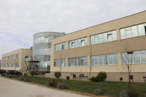 700 de persoane care au fost mușcate sau zgâriate de diferite animale s-au prezentat în acest an la Cabinetul Antirabic al Spitalului Județean Arad