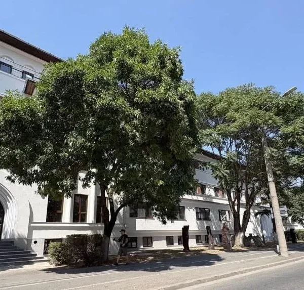 Elevii de la ARTE se întorc „acasă” | Reabilitarea Colegiului „Sabin Drăgoi” a fost finalizată înainte de termen