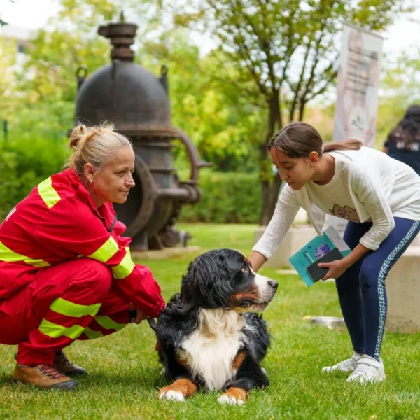 Fundația Comunitară Timișoara va premia „10 voluntari de 10”