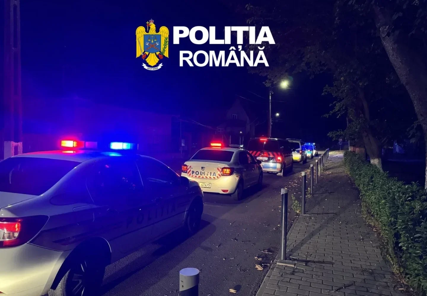 RAZIE LA CURTICI