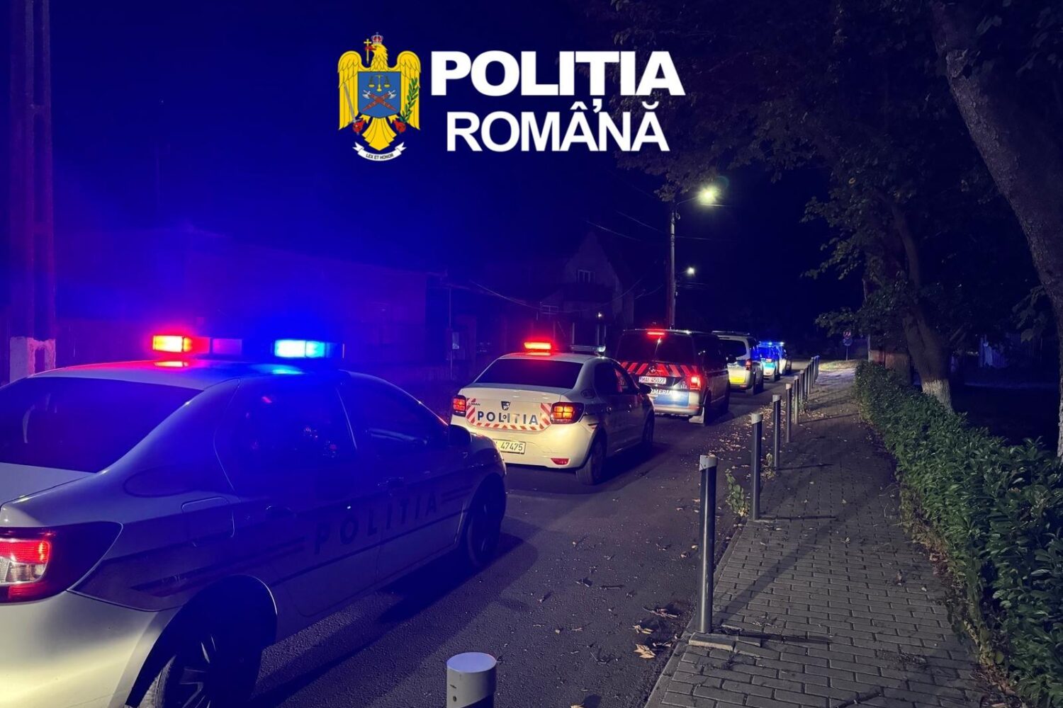 RAZIE LA CURTICI